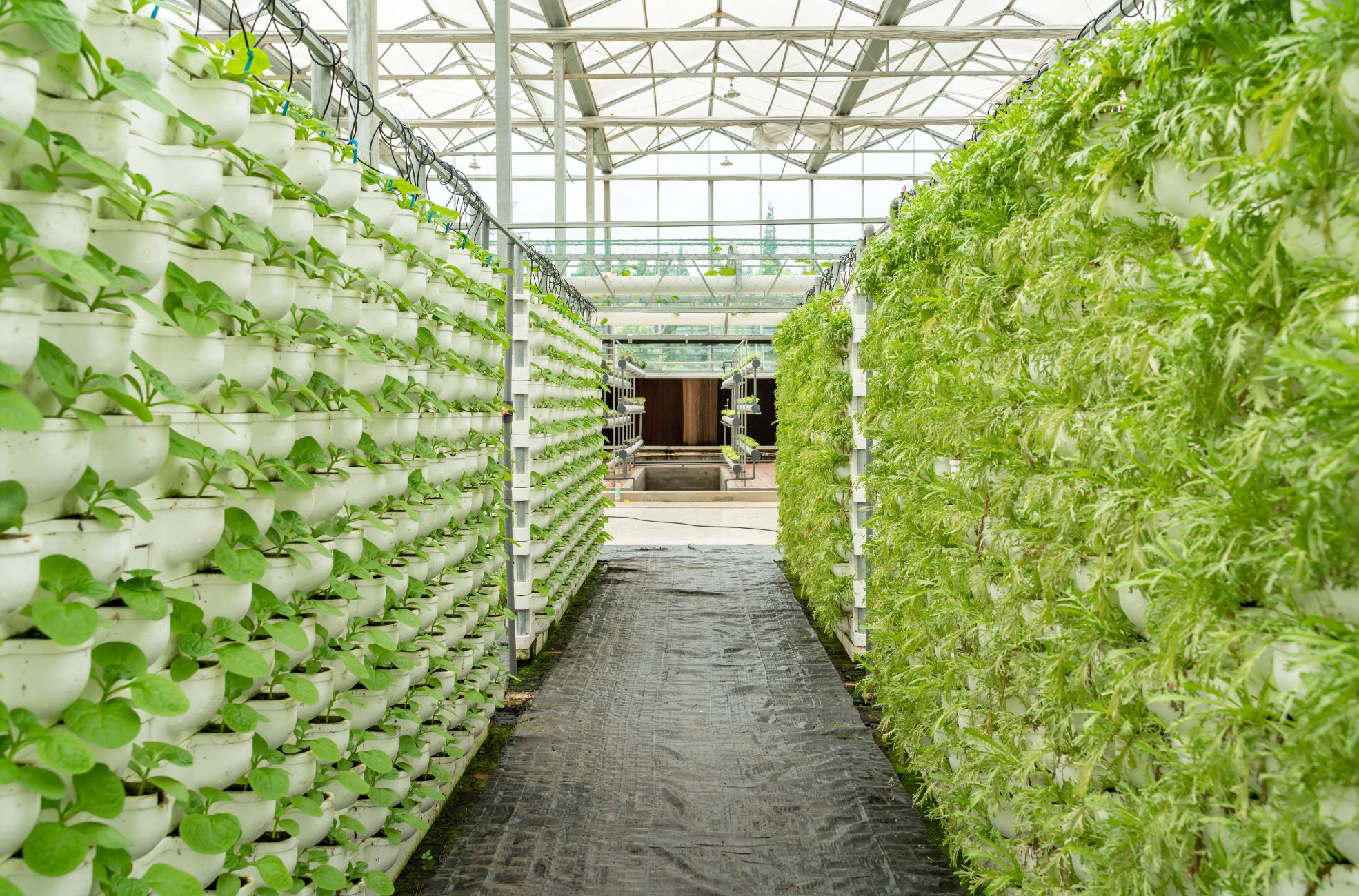 Vertical Farming