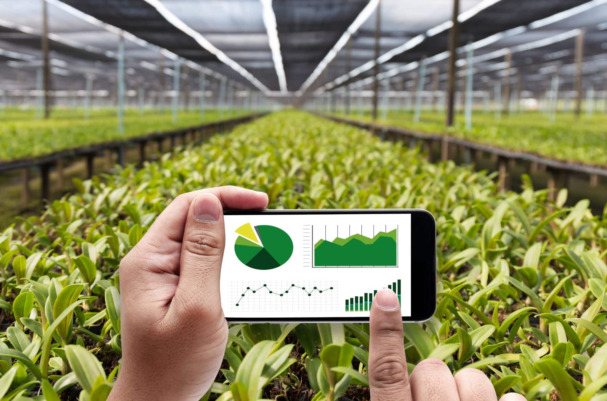 Agricultural Technology On Phone