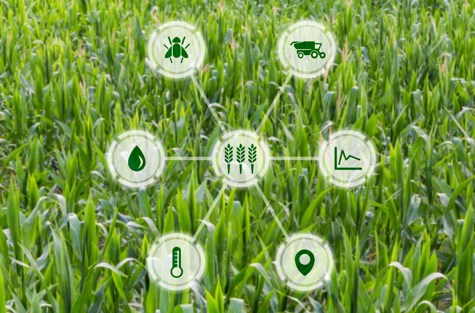 Agritech Diagram On Grassy Background