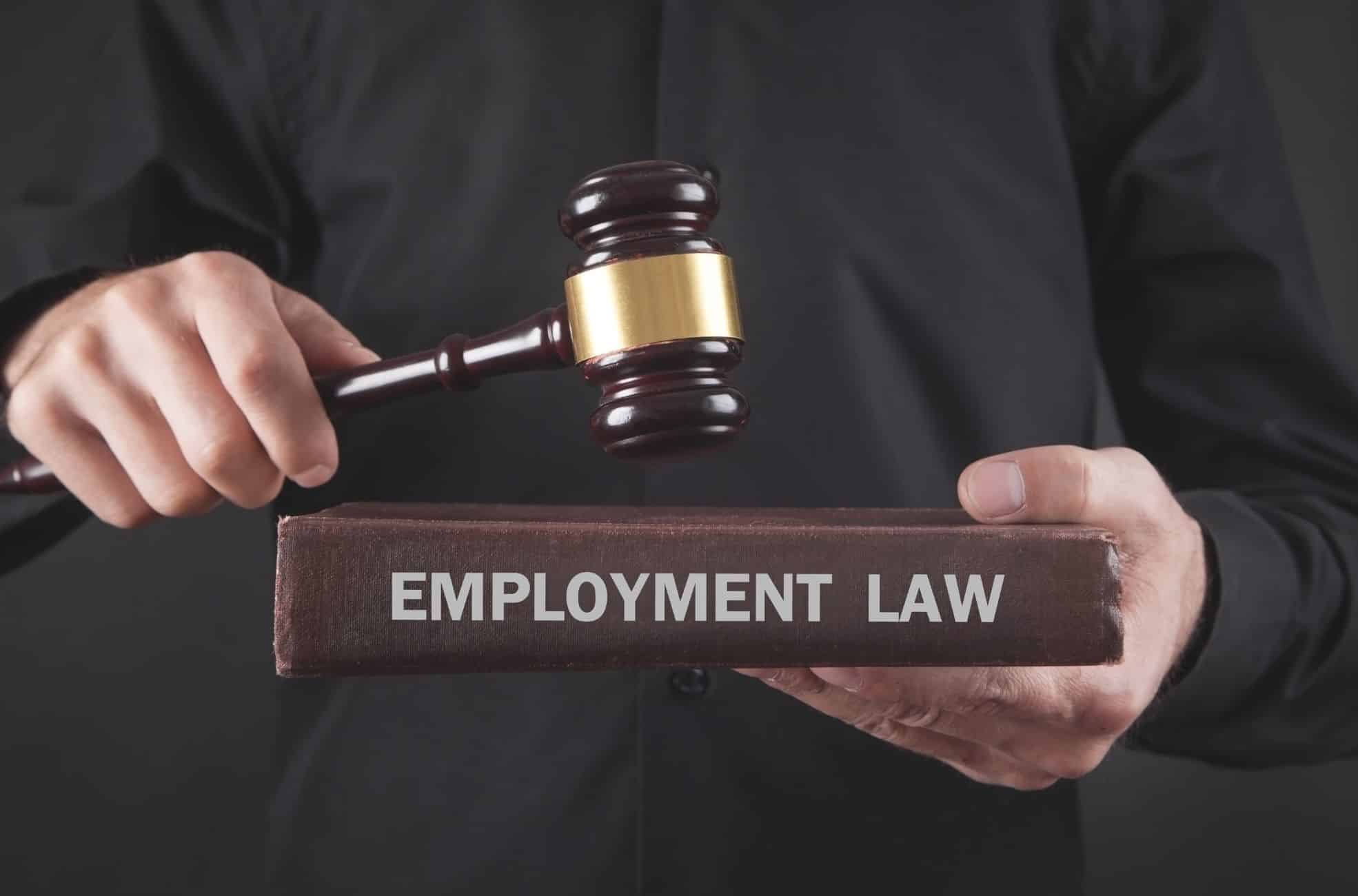 Man Holding Book Called Employment Law
