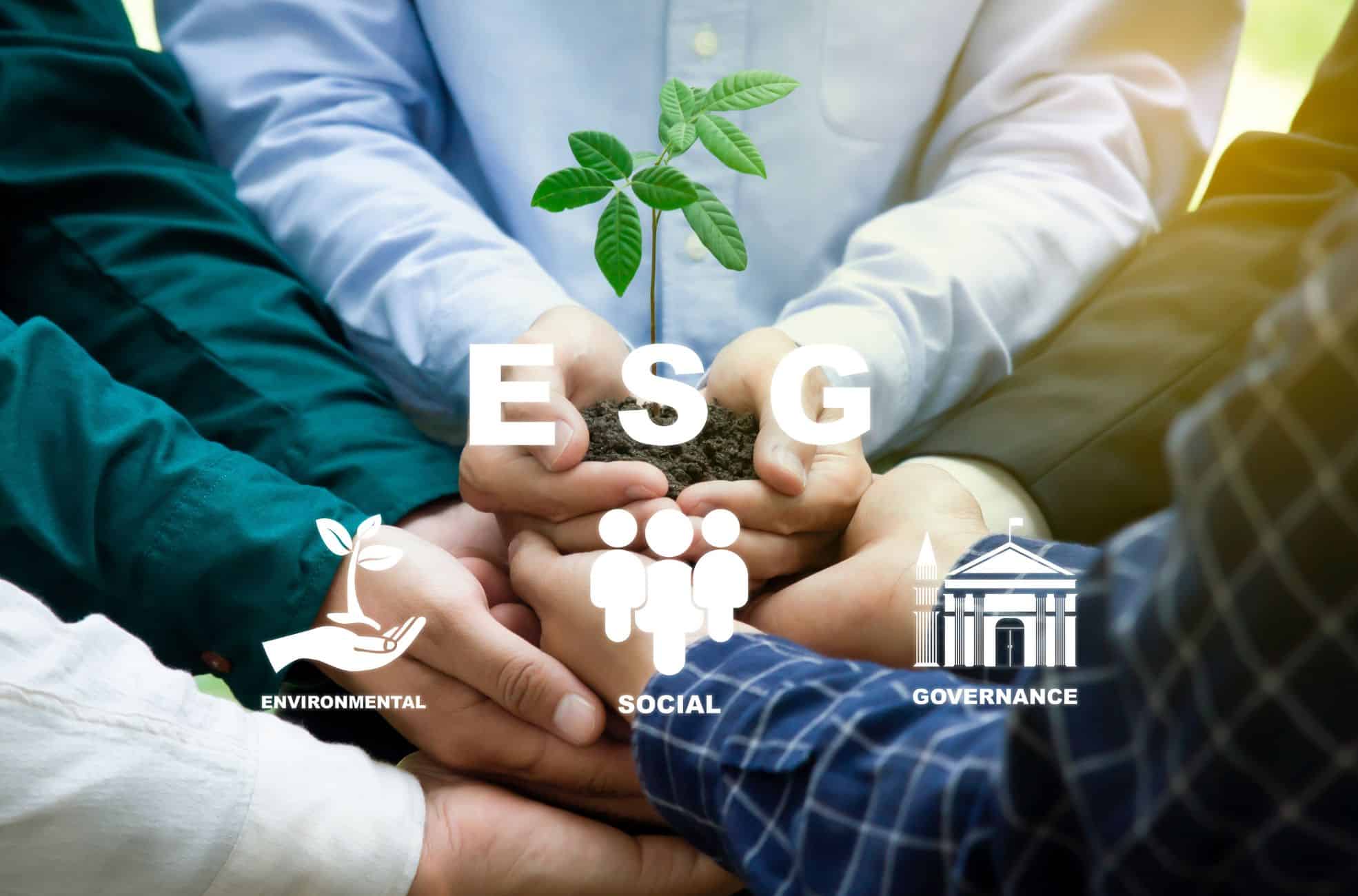 ESG Diagram And Hands