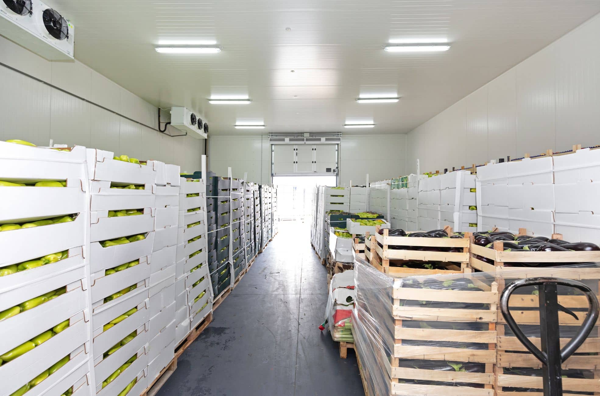 Foodstuff Items Reading For Trading