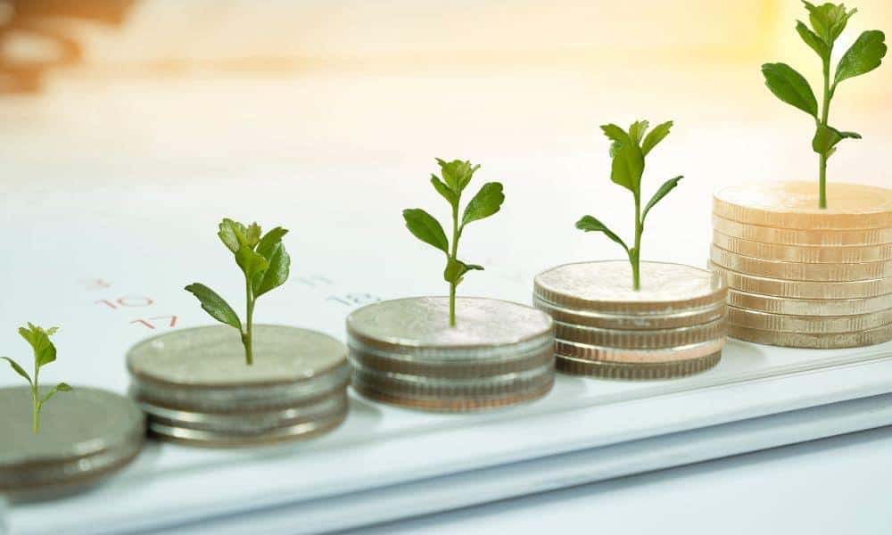 Money Growing Out Of Coins