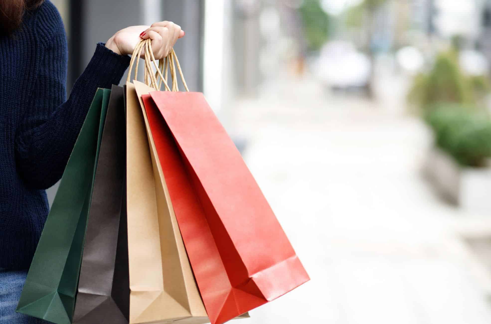 Person Holding Shopping Bags
