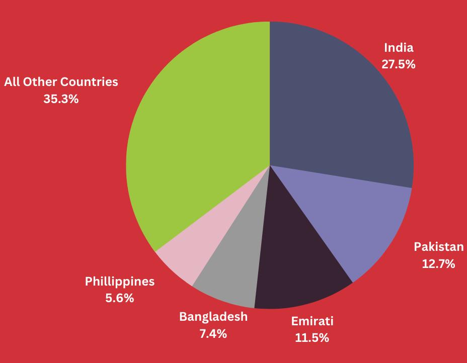 A pie graph detailing the population of the UAE.