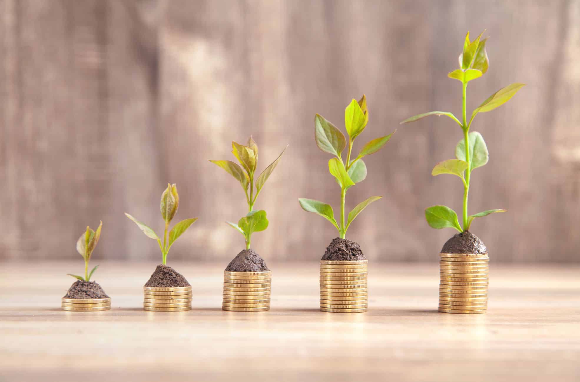 Stock Photo Showing Growth Plant Growth