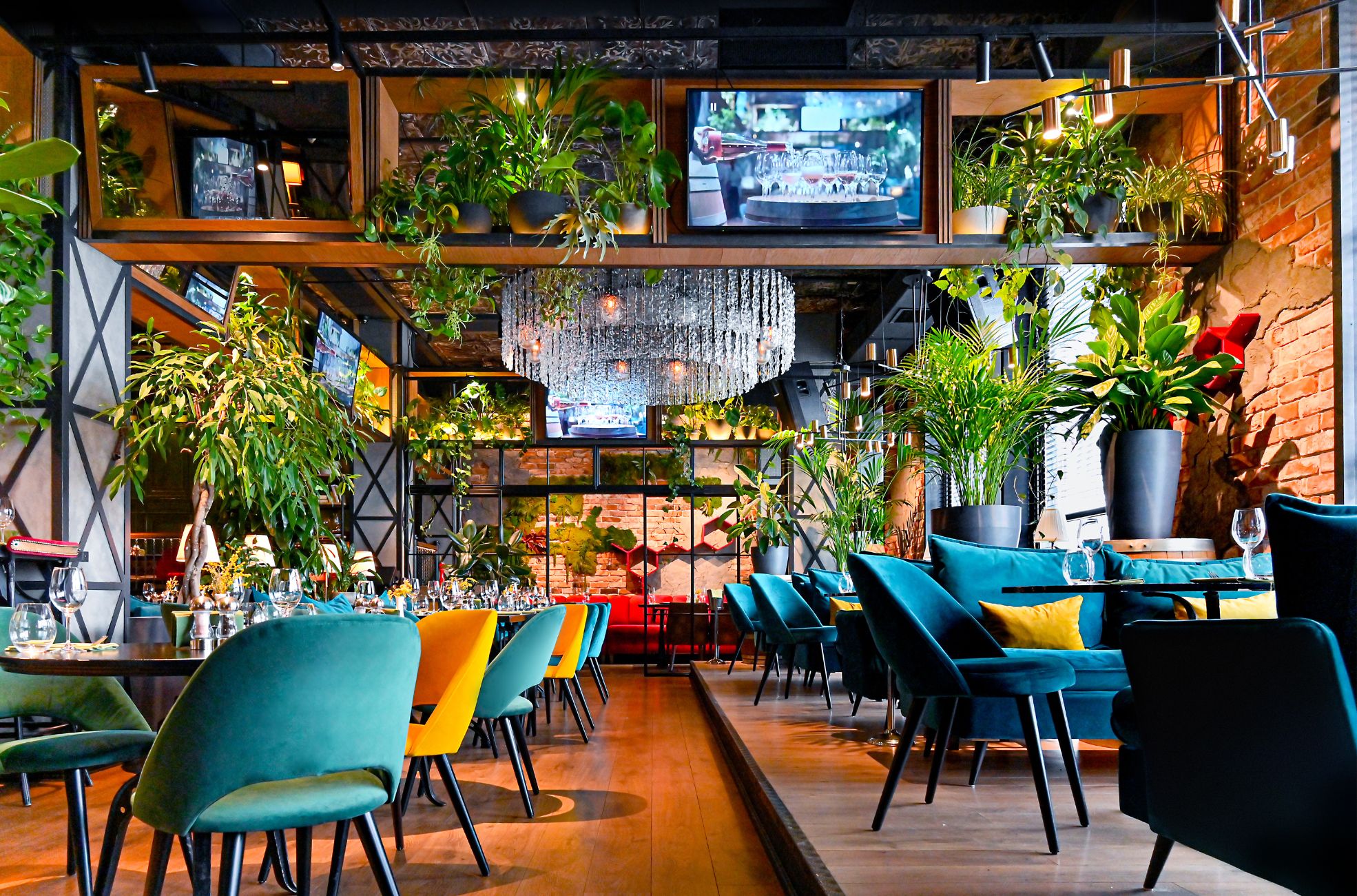 Restaurant, Bright Colours And Plants