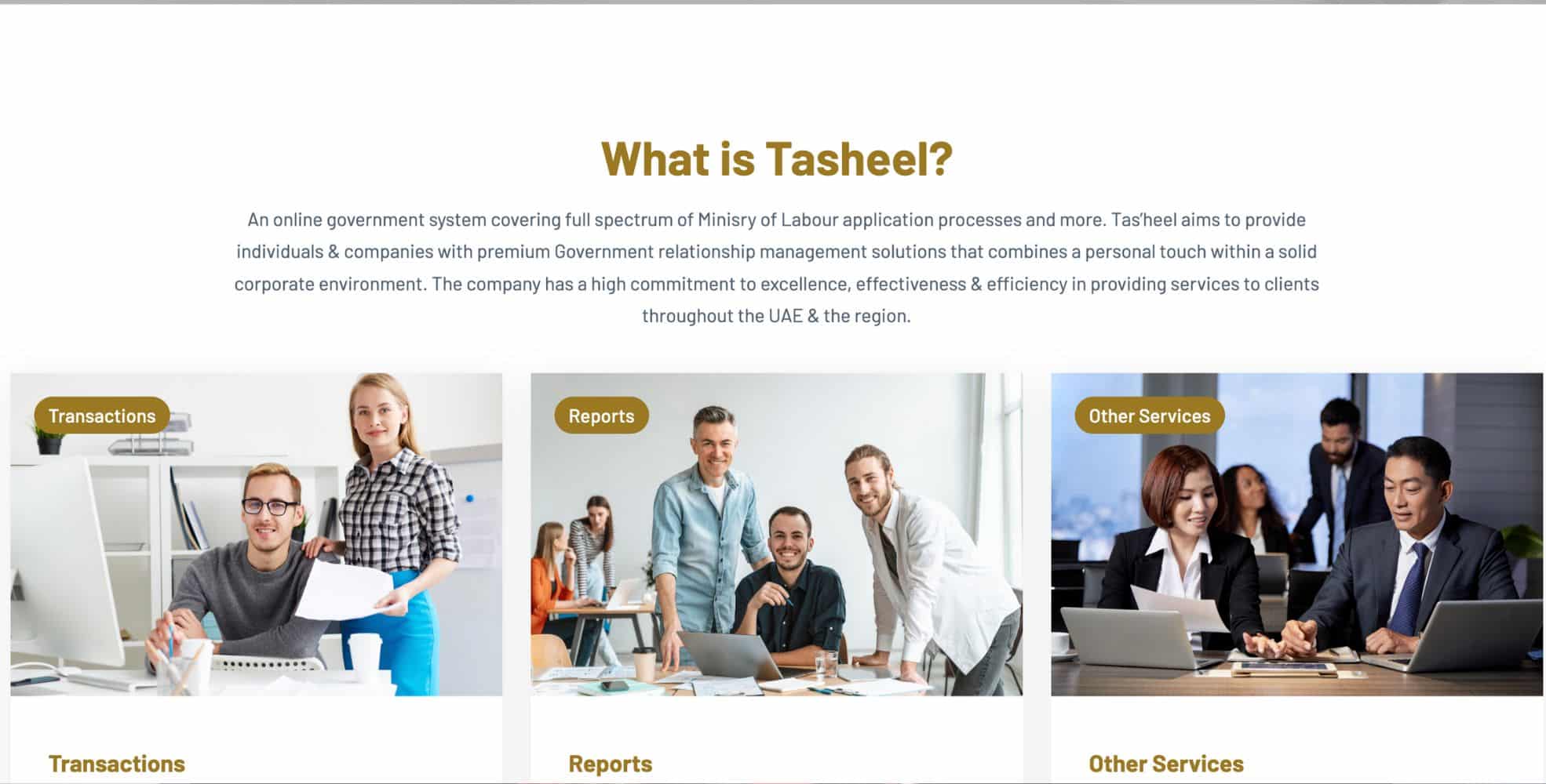Screenshot From Tasheel Website