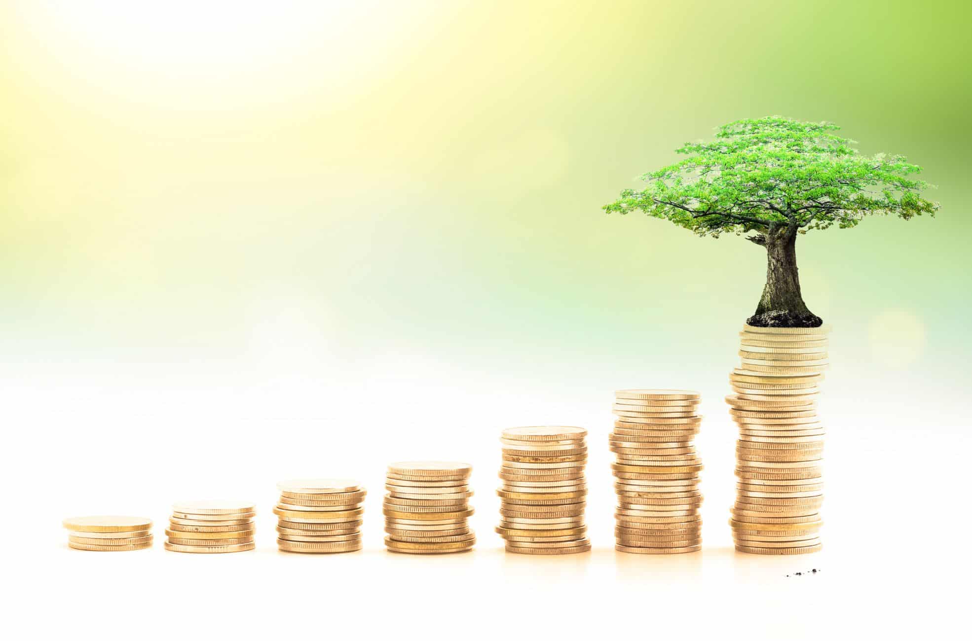 Plant Growing Out Of Coins