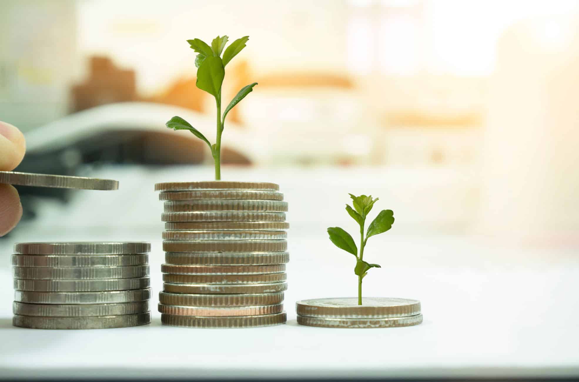 Seedlings Growing From Coins