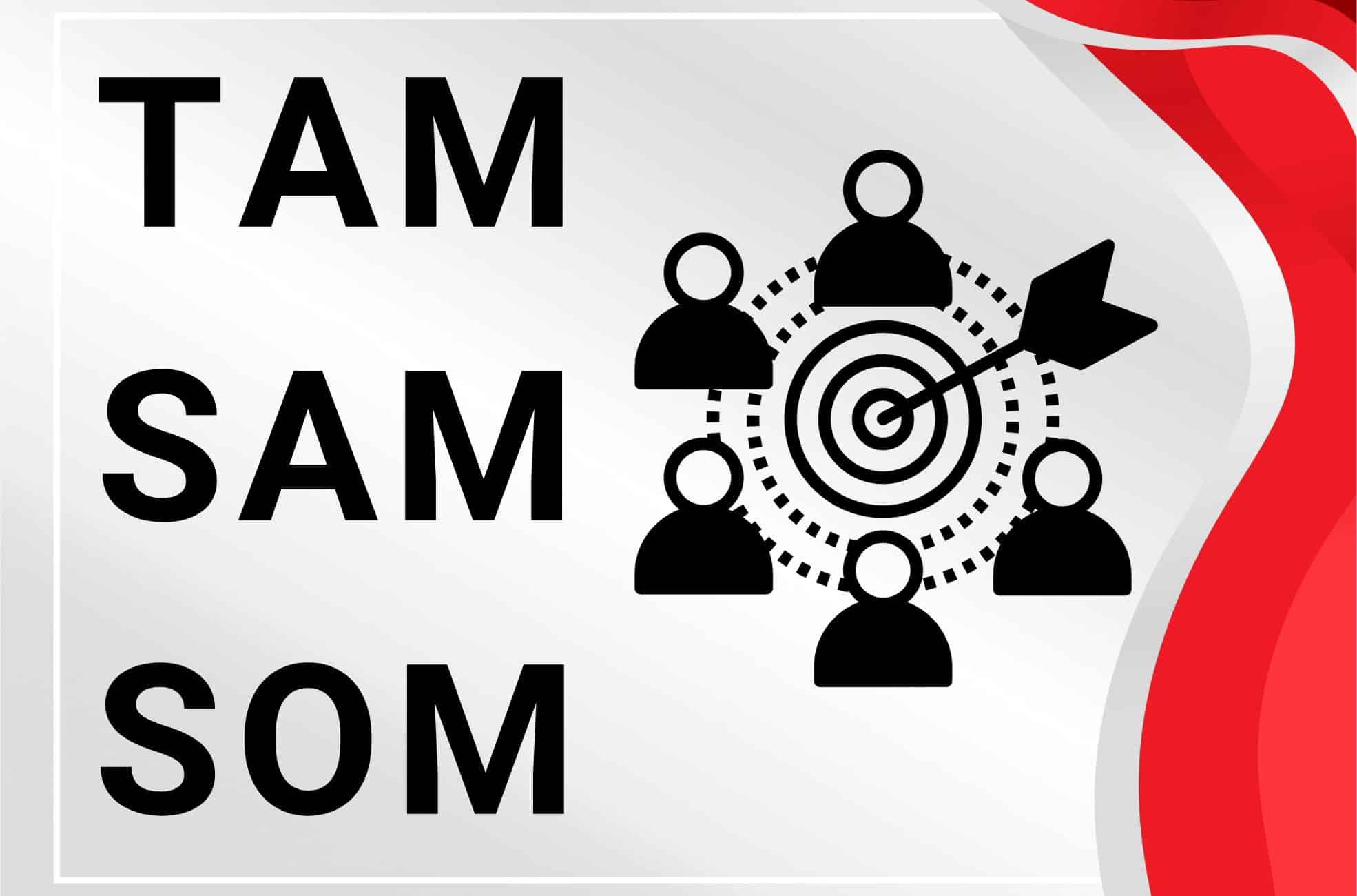Red And Grey Background Target Audience Diagram And Title Of "Tam Sam Som"