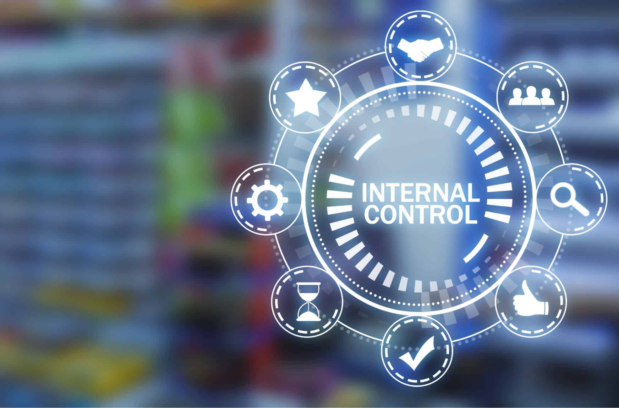 Diagram Titled "Internal Control" For A Business Environment